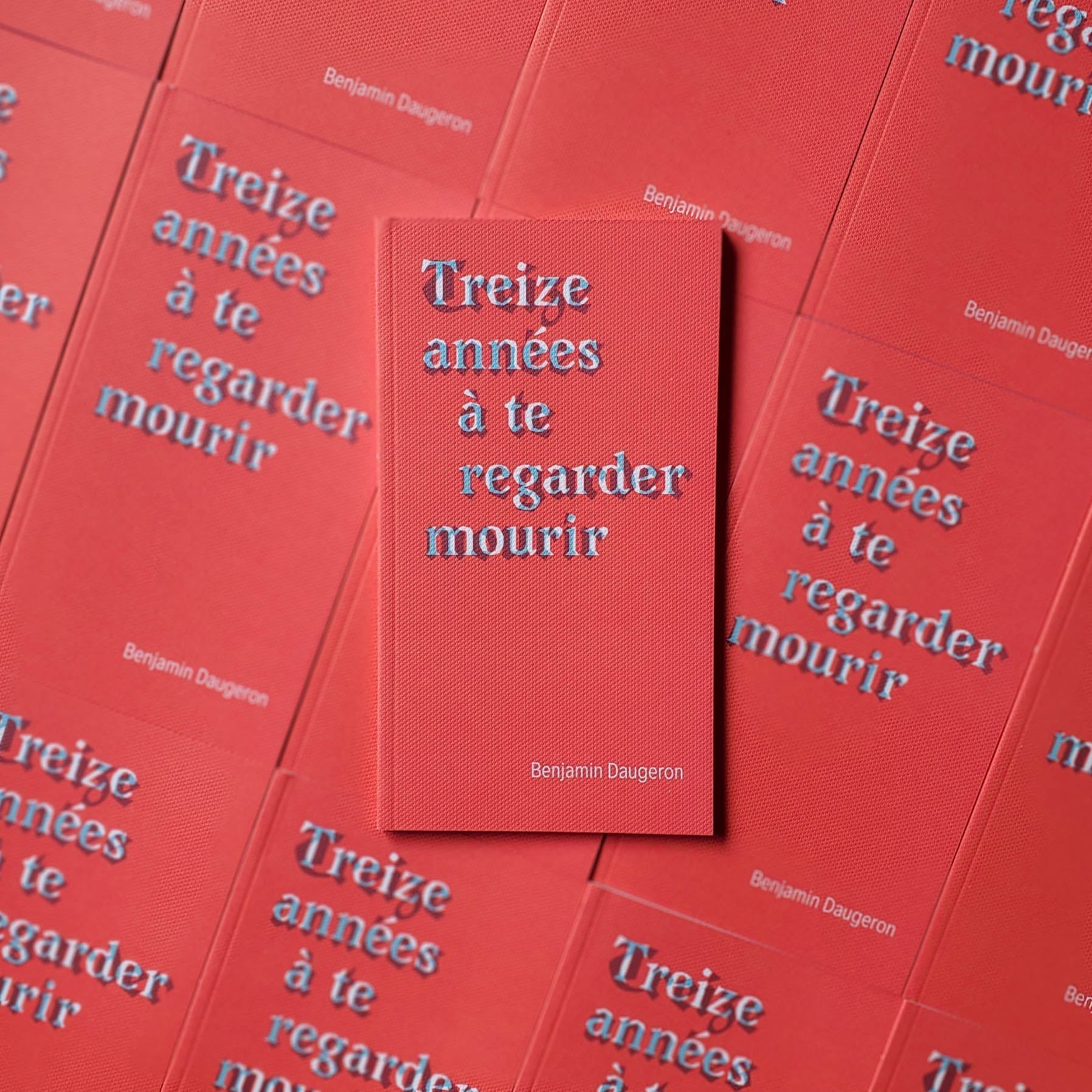 Treize années à te regarder mourir est disponible