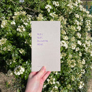 Photo du livre Bleu nuit, blouson rose