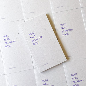 BLEU NUIT, BLOUSON ROSE d'etaïnn zwer inaugure la poésie en 2024