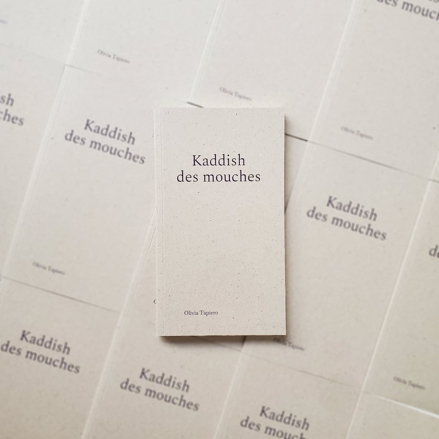 Kaddish des mouches est disponible, comme l'ensemble de nos livres de retour en librairie !