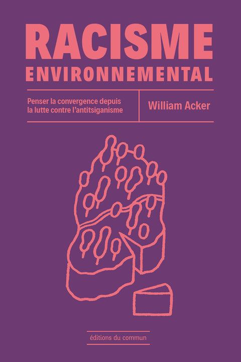 Racisme environnnemental