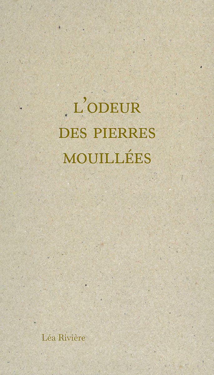 Couverture du livre L'odeur des pierres mouillées